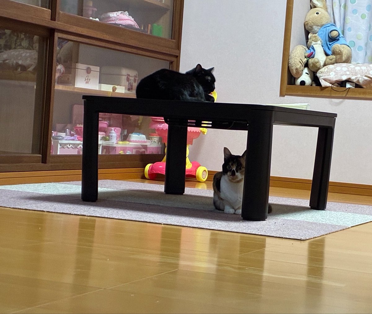 lunaticdial's tweet photo. 寝床入っても2匹はドカ寝してて出て行った子に監視されてるし再度乗り込まれてる https://t.co/VYTQgIb0OP