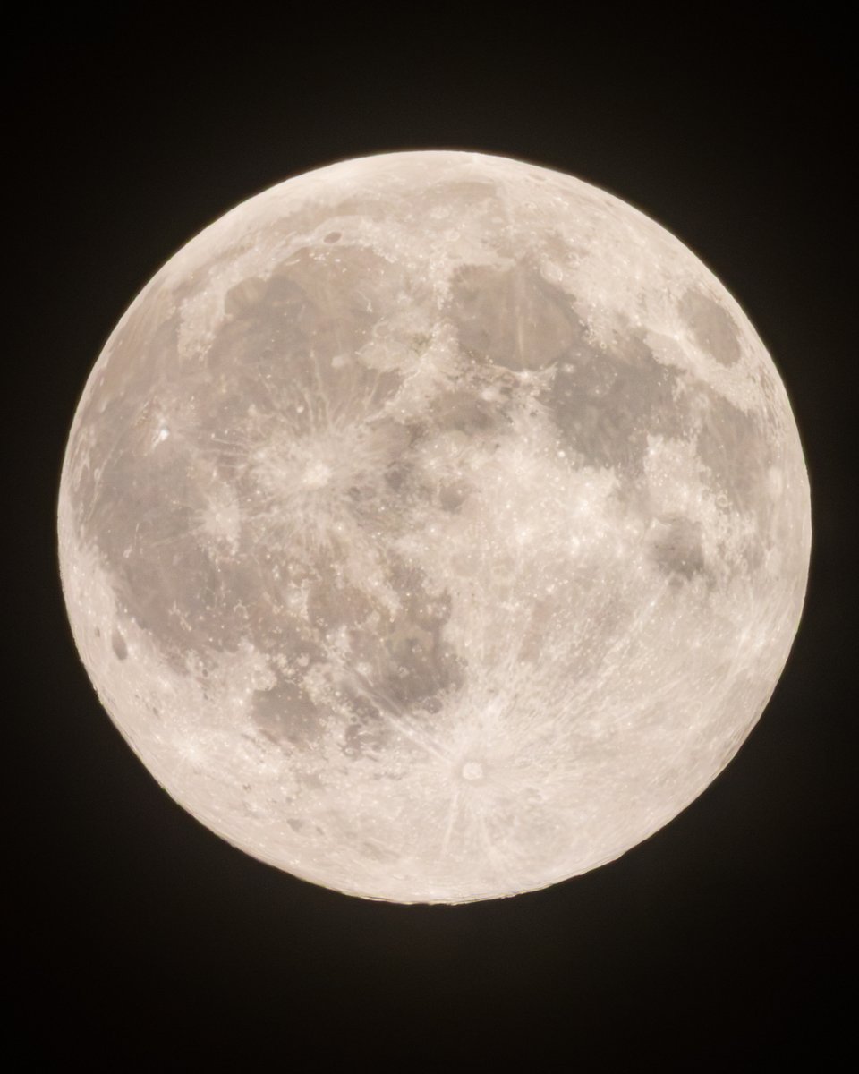 man_ten_bo_shi's tweet photo. 今夜の月です。
午後9時頃から晴れてきて、薄雲越しに美しい月が見えています。
9月27日未明に満月を迎えるため、今夜はまん丸の月が見えています。
双眼鏡で見てみると、月の模様がはっきりと分かります。ウサギやカニに見えますでしょうか？
もし晴れていましたら、のんびりと月を眺めてみましょう。 https://t.co/MQkm8BXArq