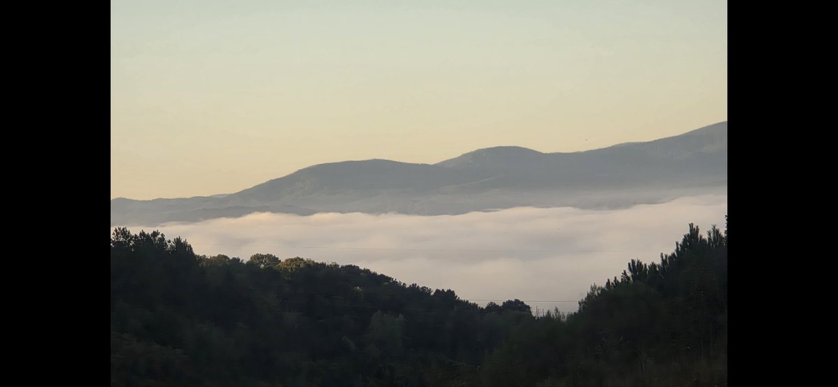 JCook8382's tweet photo. Beautiful Crispy morning in the Great state of Alabama this morning ☁️ Have a great Saturday and weekend! #fog #crispy https://t.co/ohJ2s5Zp4Y