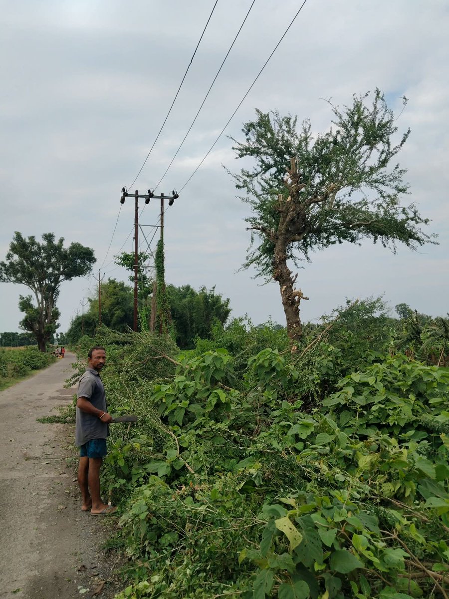 esdpurnea_west's tweet photo. Line Maintainence and tree pruning at differnt locations under ESD Purnea West. @SEVA_NBPDCL @SEVA_BSPTCL @SEVA_SBPDCL @SEVA_BSPGCL @EnergyBihar https://t.co/xqUUqLOnEg