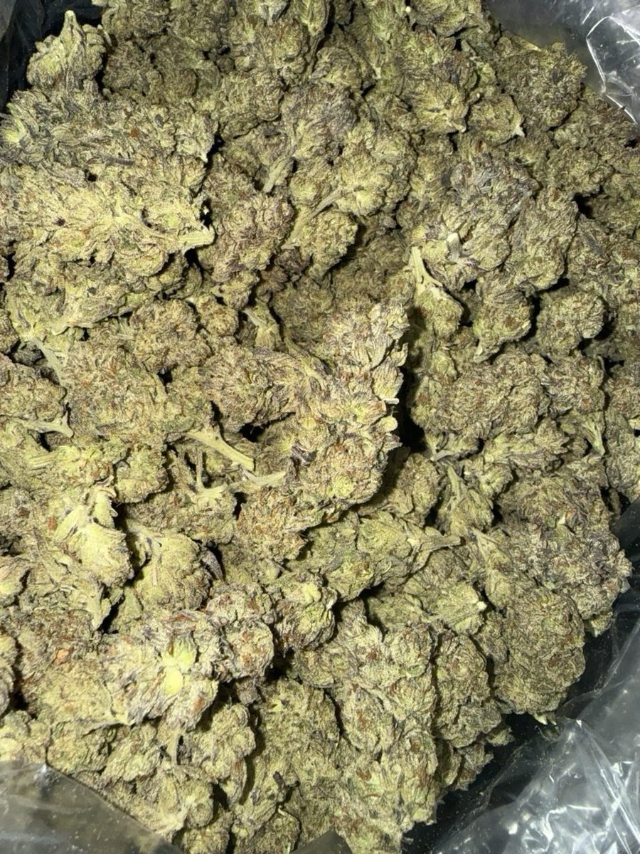 TexasManu's tweet photo. Pinnacle runs 800 10/10 💨⛽️📦✈️📲 https://t.co/zZBD67Ru4G