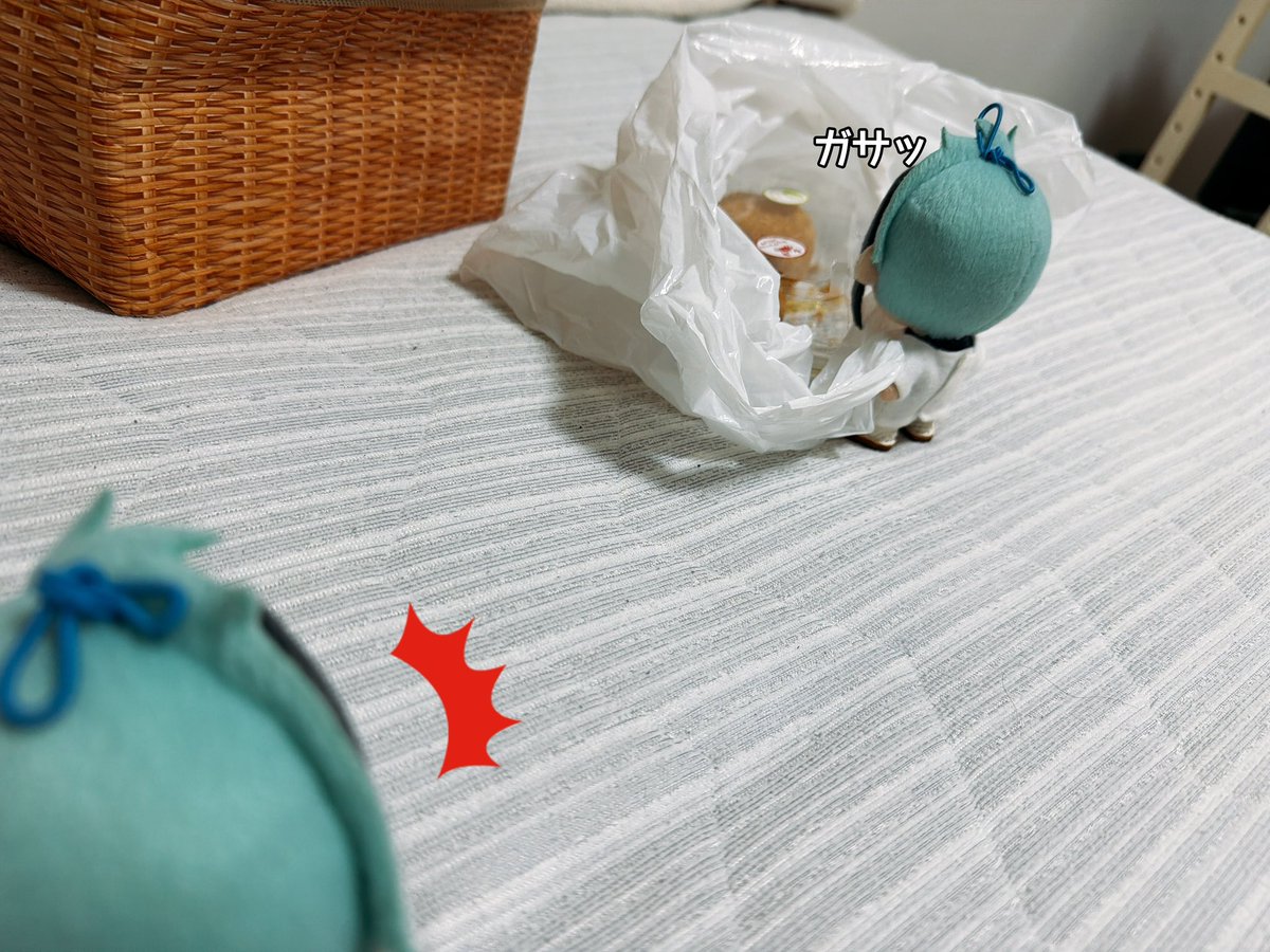 roottree285002's tweet photo. ボンボニ行って百貨店の北海道展行ってきました🏃🏻💨
まさかフリー入場で写真撮れるとは思わず２匹が部屋着のまま連れてきてしまった事が後悔でしかない😭

北海道展で買ったコロッケと甘エビの塩辛は、早速ジェッたんが目をつけています🤣

#twstぬい撮り部 https://t.co/xYpKXFNy14