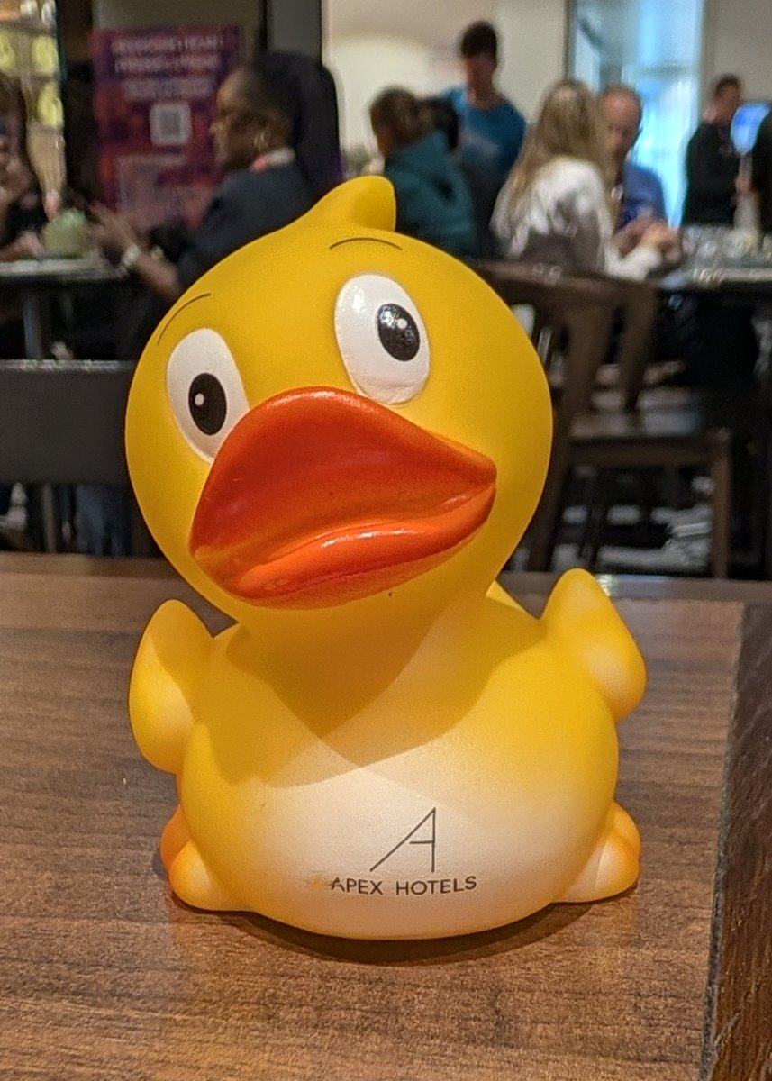 thyng's tweet photo. Woohoo New team member. Sir @ropetko has gifted us a new duck, directly from @apexhotelsbiz
 #showusyourduck .

Hvala Robert, endless appreciation for this. https://t.co/DejDRndN5O