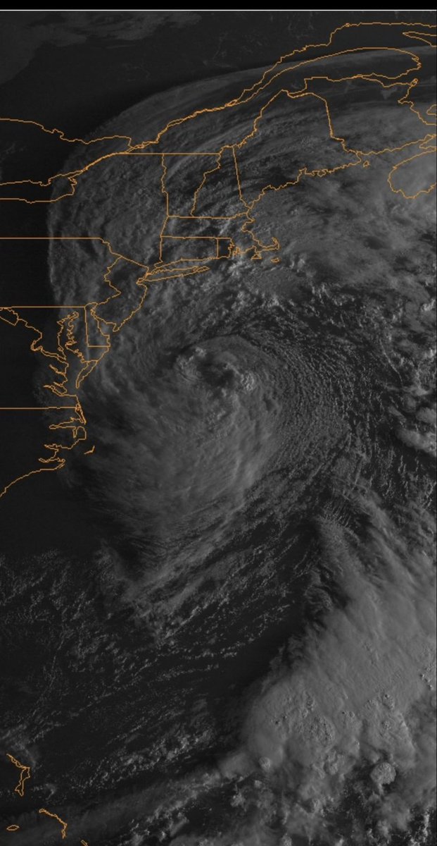 rob39228's tweet photo. @GuntherEagleman Up here in NE. ""Batten down the hatches, it's time to weather the gale!" https://t.co/PLnOBvMK5u
