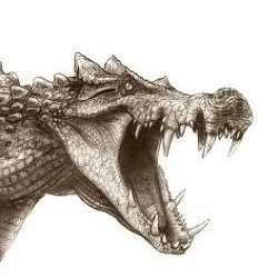 europasaurus445's tweet photo. Discord user Armin realises he is now a different shade of pink after comment from Discord user Entrerriano

"I am now, a different shade of pink"

credit: @paleostreamvariety
#paleostreamooc https://t.co/N8MqrIGFq8