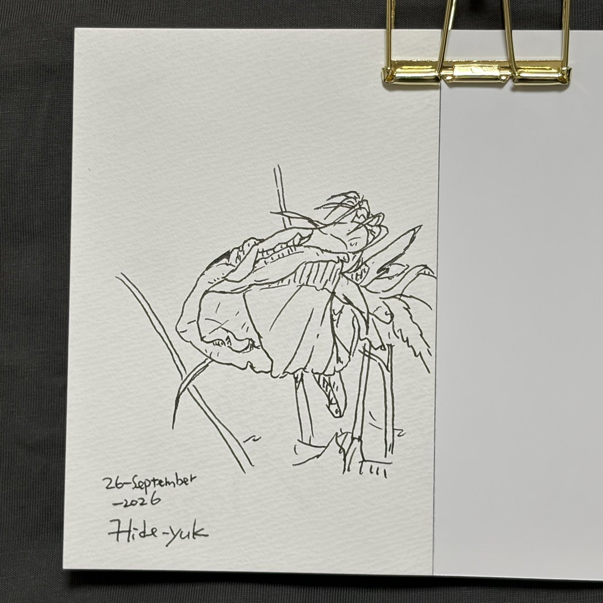 hidebosan's tweet photo. latihan hari ini. 今日の練習。bunga. #sketsapen #pensketch  #sketch #bunga https://t.co/kRersHp0IT