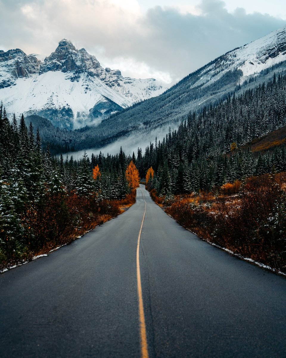 visualsofearth1's tweet photo. Winter in the Canadian Rockies ❄️ https://t.co/gXuXV6iaqm