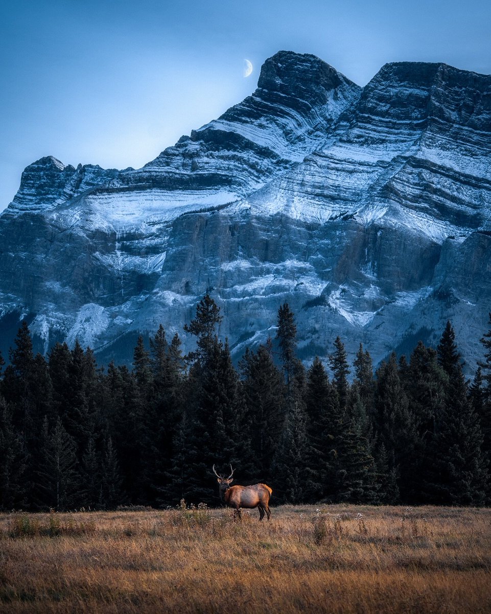 visualsofearth1's tweet photo. Winter in the Canadian Rockies ❄️ https://t.co/gXuXV6iaqm