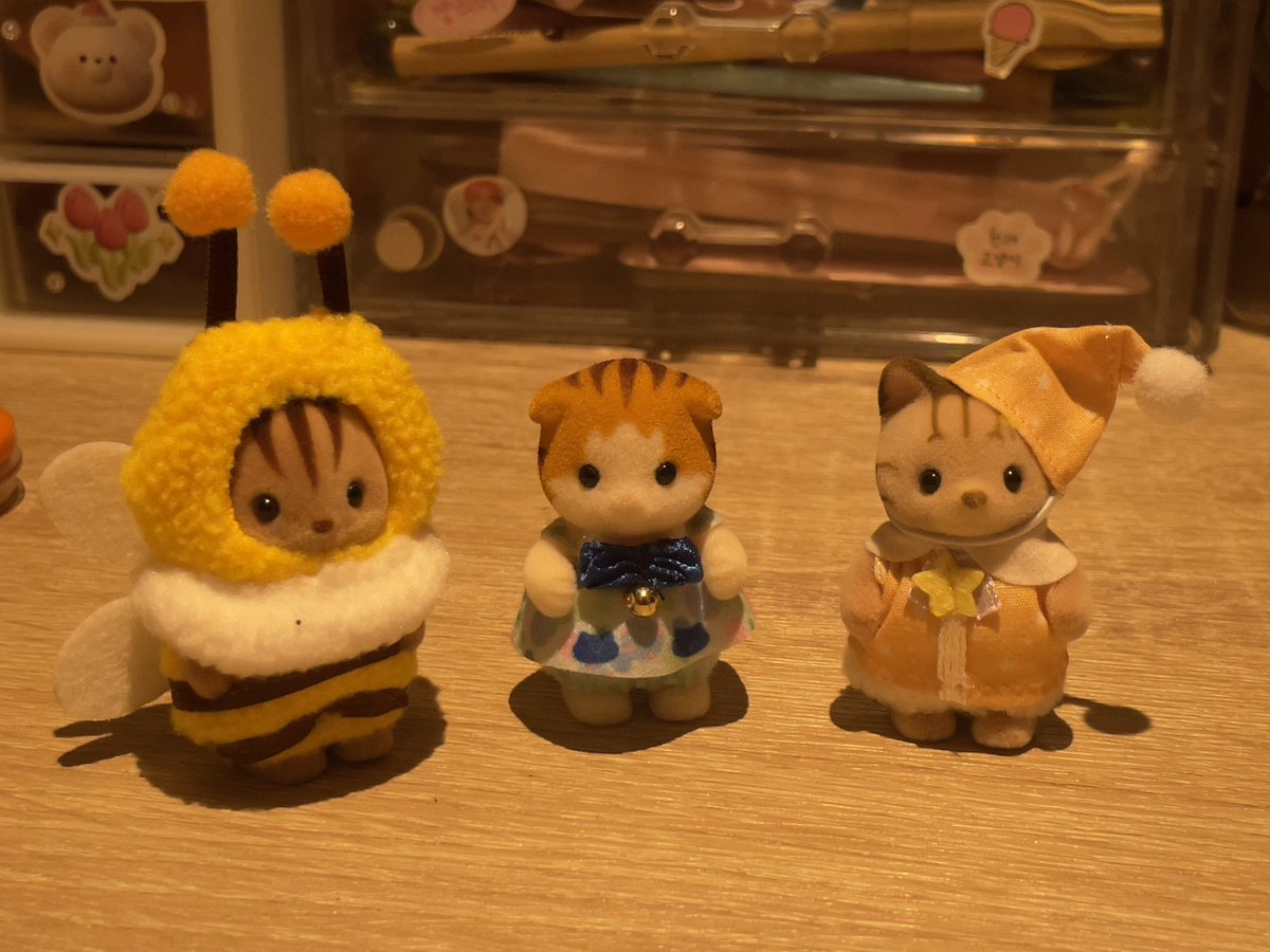 _oreenje's tweet photo. 🍊♪。・:*:・゚~゚・:*:・。♪🍊#dearorange
••• #pat_salamat
NAKAUWI NA ANG MGA BEBE KOO😭🧡 was so excited to finally get them and now they’re here!! ANG CUCUTE NILAA😭 tysm for packing these babies safe and sound and for the consistent updates🥹 luv u na talaga @eliteshua https://t.co/pgc56yZcWw