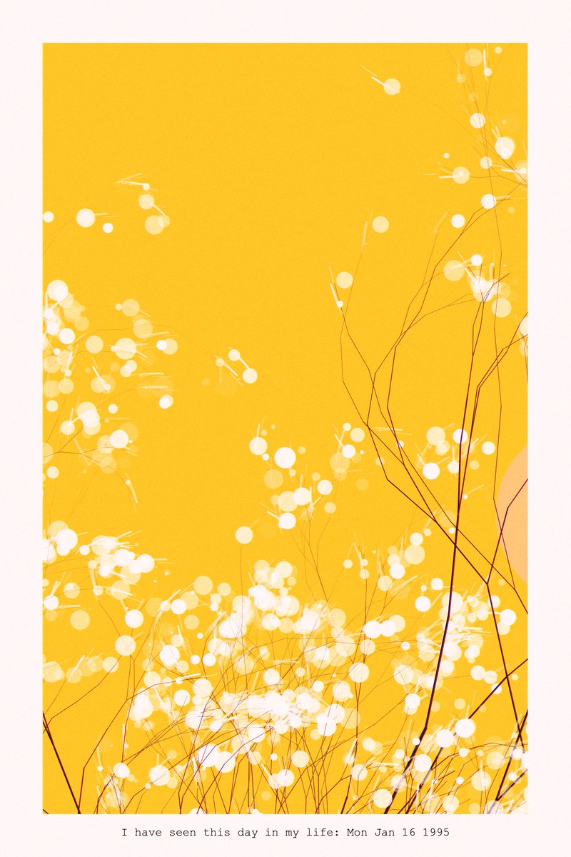 RezaMilani's tweet photo. Canebrake @verse_works 
Fine Art Print — 40.6 × 61 cm (16 × 24 in) https://t.co/YGzdEPZ0JA