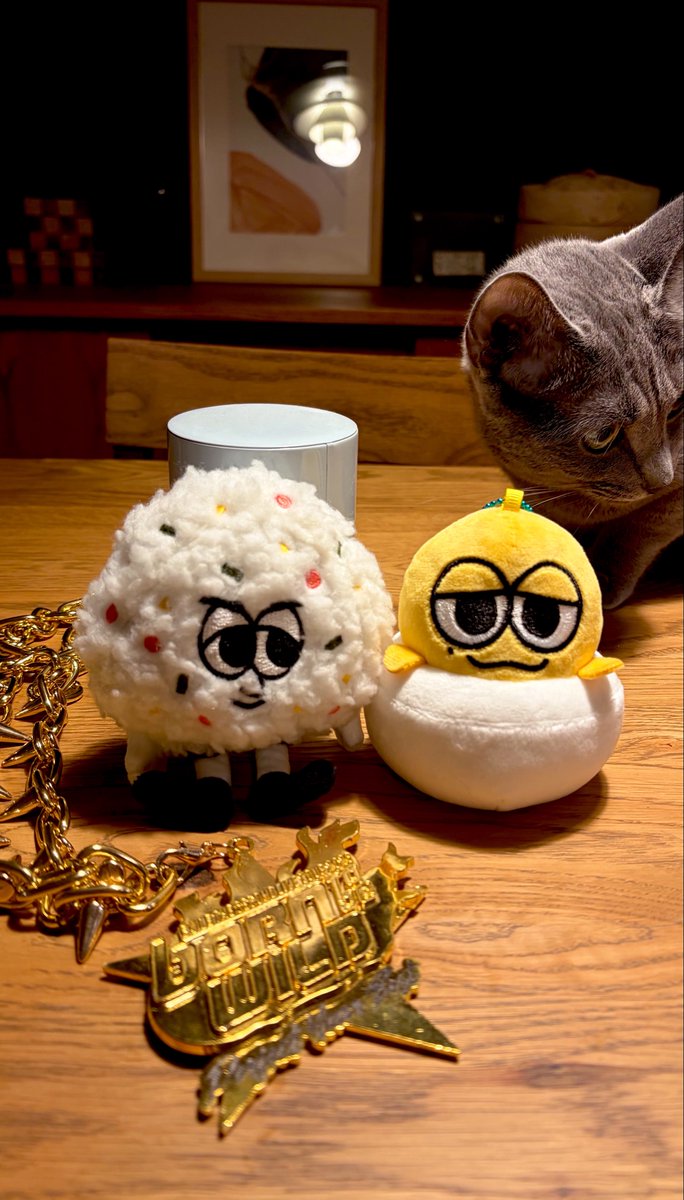 cii99n's tweet photo. 新しいお友達だよ🐈‍⬛🍙🥚 https://t.co/obo59mA693