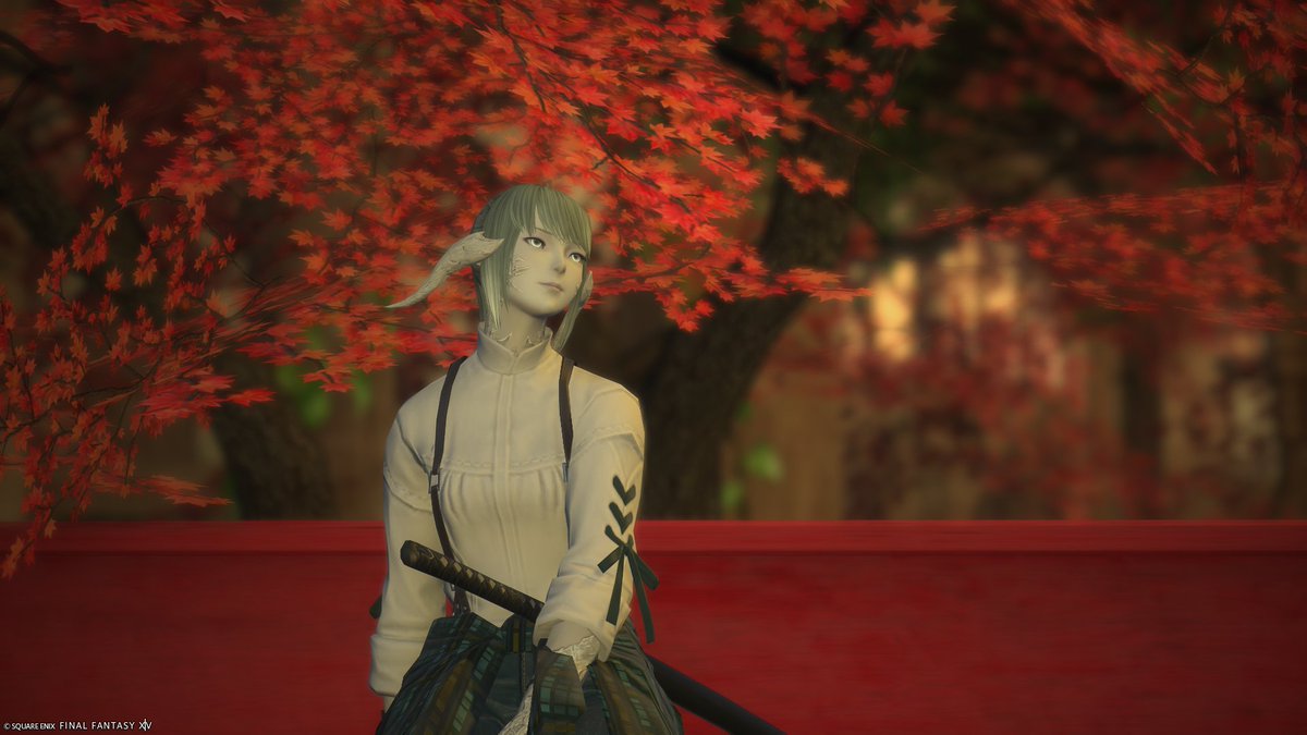 auberf_dnn's tweet photo. FCハウスのお庭が秋になってた！季節に合わせて作ってくれるのは楽しいね https://t.co/ydKUq5awQO
