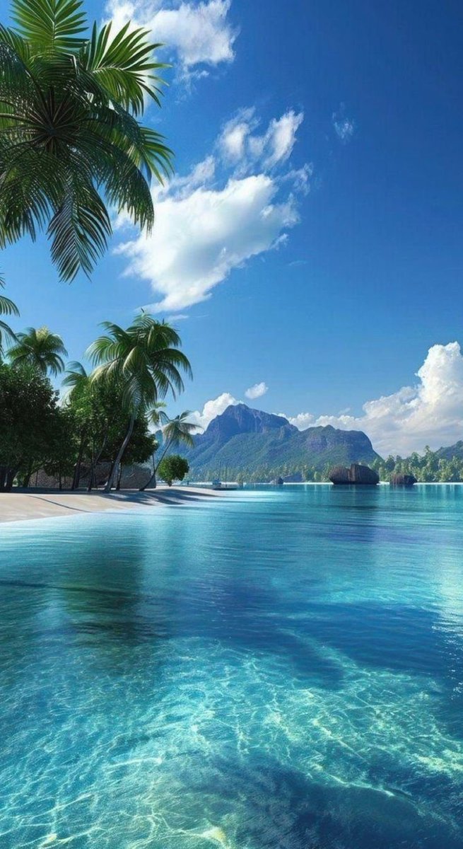 water_diaries's tweet photo. Bora Bora French Polynesia 🇵🇫 https://t.co/qmvmmNWt6s