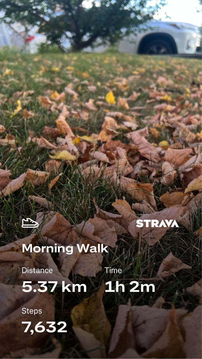 kunrup's tweet photo. Saturday morning an hour of walk keeps you refreshed all along the day! Perfect weather to go out.
.
.
#stayactive #staymotivated #brampton #positivevibes #activelifestyle https://t.co/p1Em6ryGi1