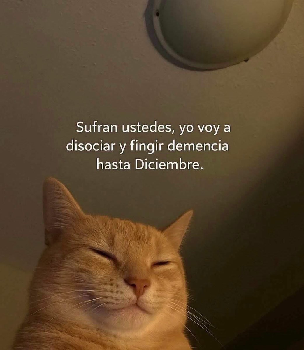 RaymundoPsic's tweet photo. #humor 😅 https://t.co/uVUWgzlugj