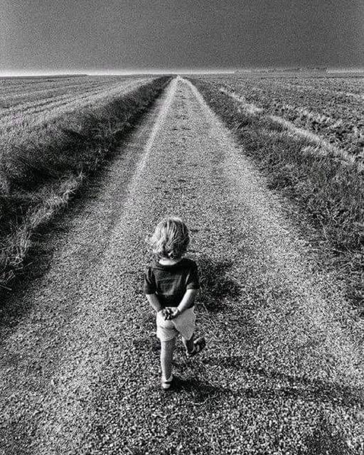 literlandweb1's tweet photo. Cuando te enamores del camino, olvidarás el destino. https://t.co/m0qzwKhkuf