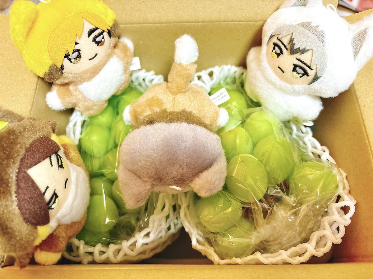 yonaka_docca's tweet photo. ふるさと納税のマスカットだよ！！
思う存分飛び込みな、ちみさむ！！ https://t.co/Cos8Wkp2u8