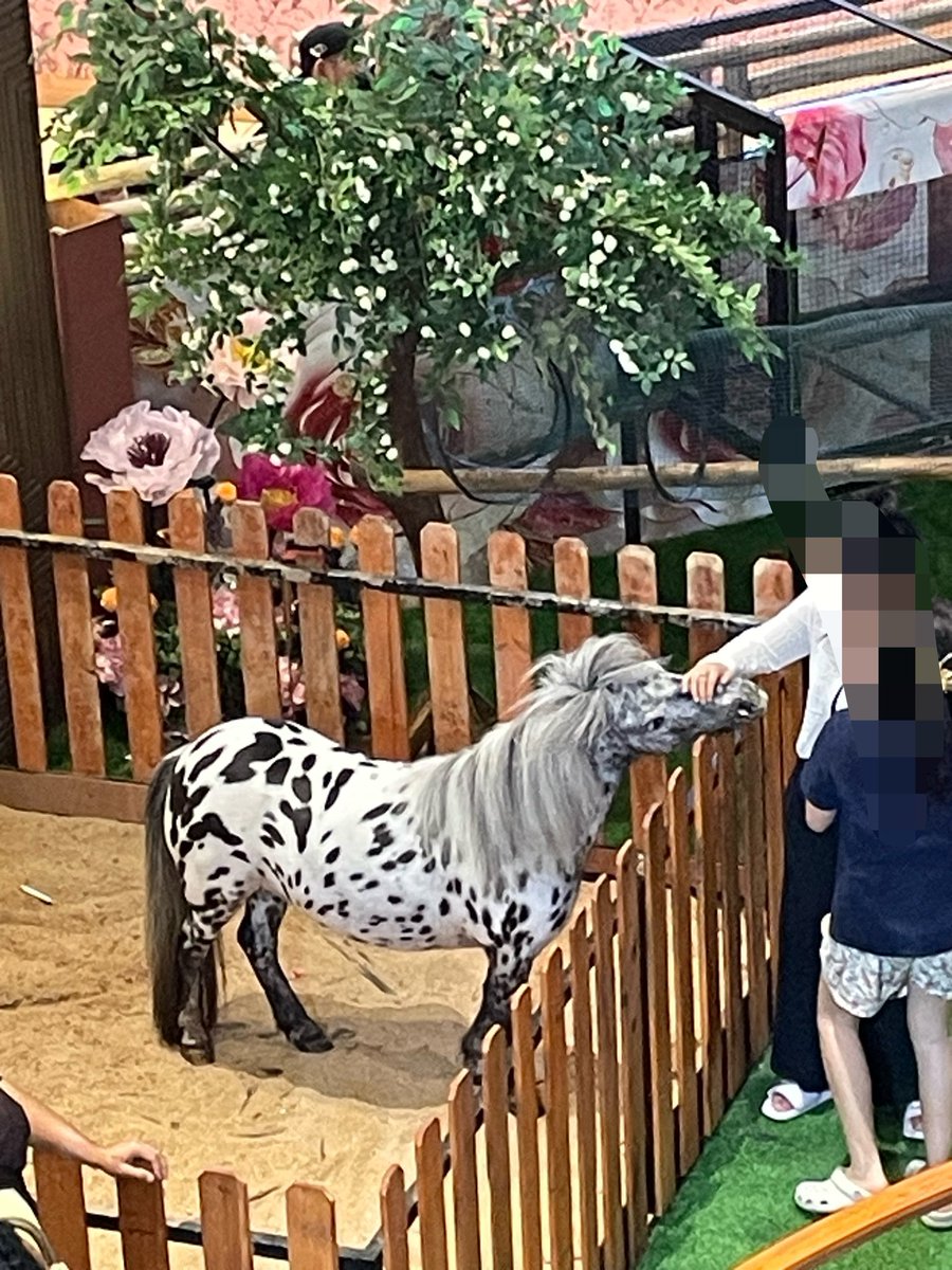sinarjaya__'s tweet photo. random ke mall lippo setelah berbulan-bulan, pas masuk berasa mimpi demam ada unta di lobi sekecil itu. https://t.co/hZUzdkVrCu