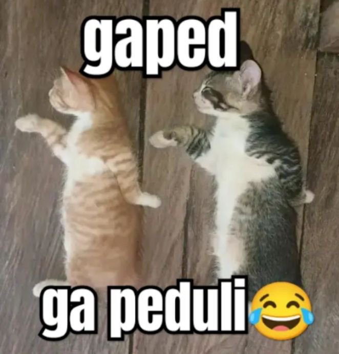 FadedSoheee's tweet photo. @FadedOliviaa https://t.co/HJVGg2liGT