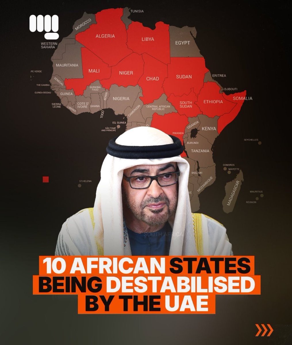 JoeTseGy's tweet photo. #UAE Out of Africa! https://t.co/gYZBxmcHTy