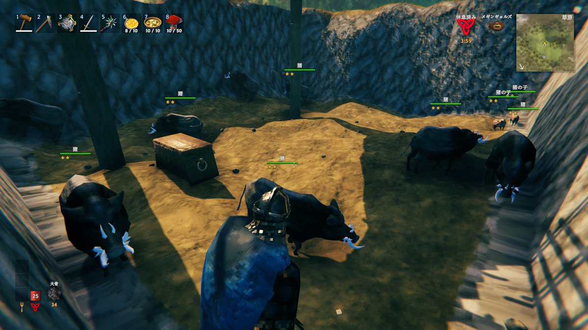 Cyrtantheae's tweet photo. 肉を育てながら静岡を観光している。
#Valheim https://t.co/e8ar3vy0Lt