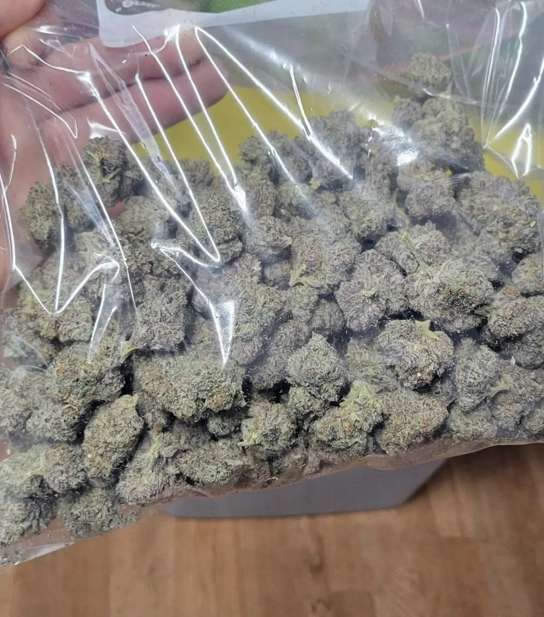 sincity_seeds's tweet photo. How many grams is this?? https://t.co/cTzSHAdekv