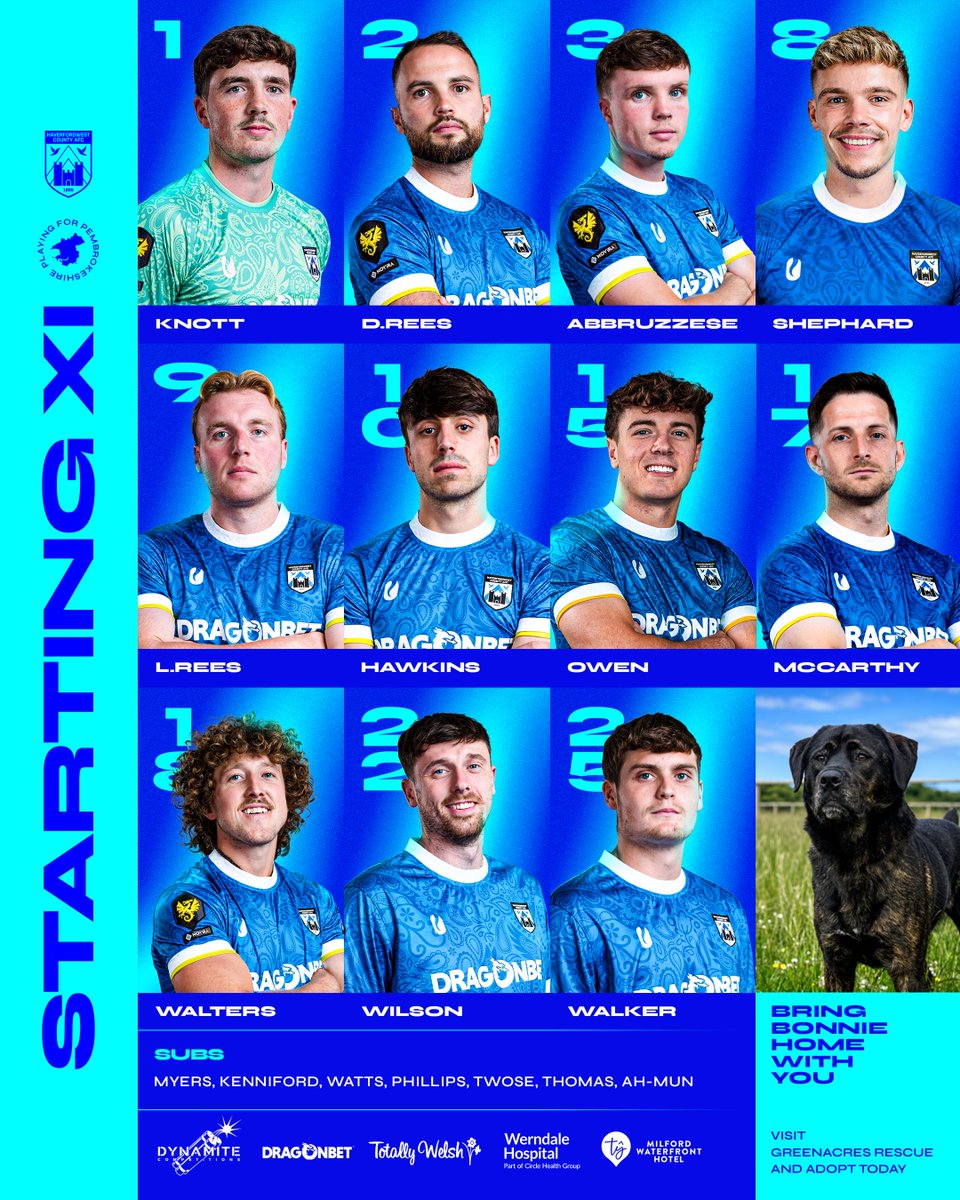 HaverfordwestFC's tweet photo. Blues on the north Wales coast! 💙
🤝 @team_greenacres
Adopt Bonnie 👉 https://t.co/96tWEuBjXG
#PlayingForPembrokeshire https://t.co/xvJmsqiqM4