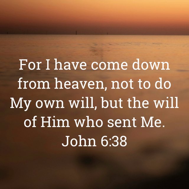 GloryToGod__GTG's tweet photo. https://t.co/K33CiUcI3c