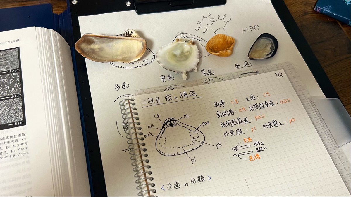 misakiensis's tweet photo. 勉強した https://t.co/pPZkVWJ1Qv