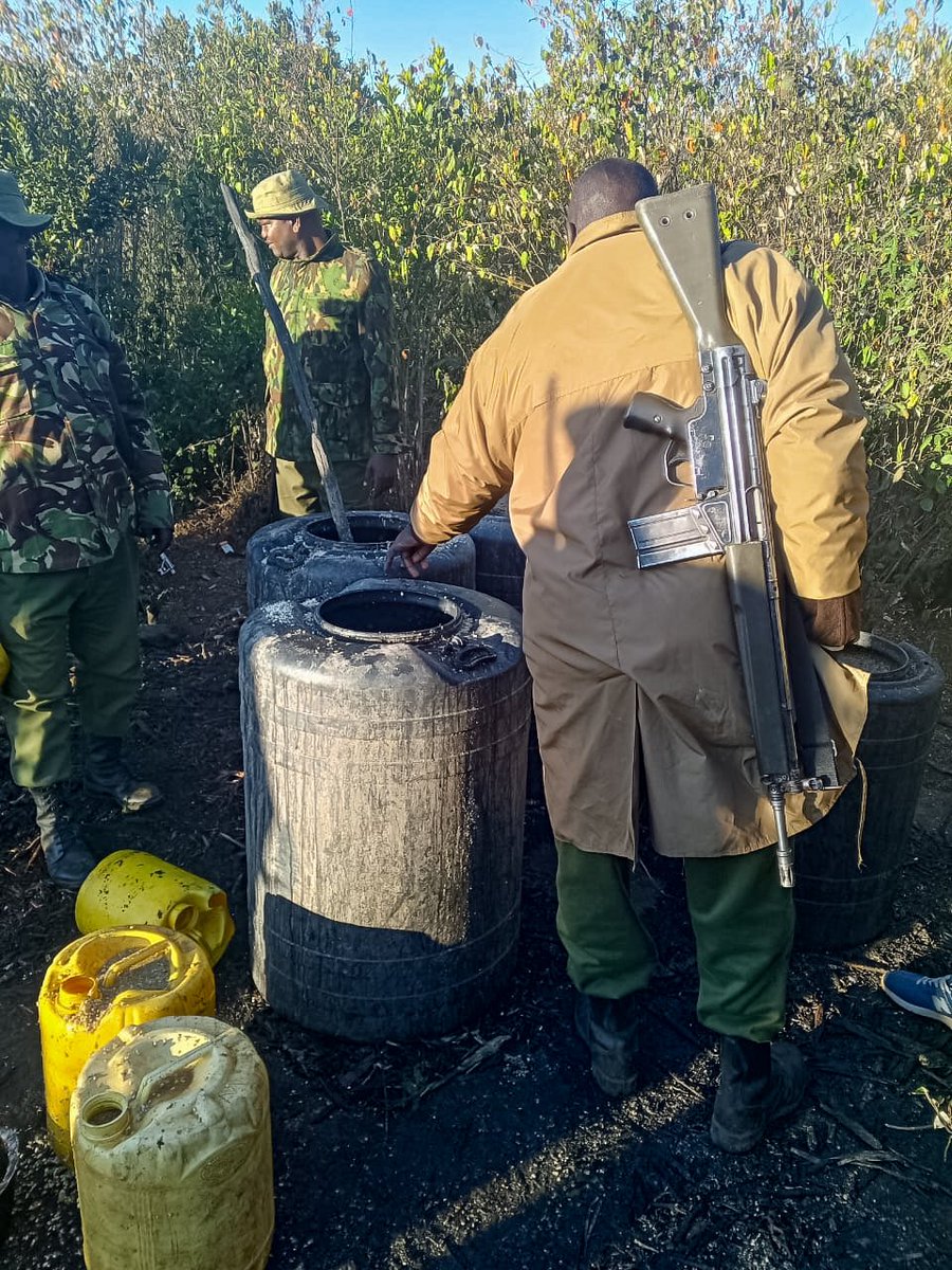 NPSOfficial_KE's tweet photo. 𝗠𝗨𝗟𝗧𝗜-𝗔𝗚𝗘𝗡𝗖𝗬 𝗖𝗥𝗔𝗖𝗞𝗗𝗢𝗪𝗡 𝗢𝗡 𝗜𝗟𝗟𝗜𝗖𝗜𝗧 𝗕𝗥𝗘𝗪𝗦 𝗖𝗢𝗡𝗧𝗜𝗡𝗨𝗘𝗦 𝗜𝗡 𝗟𝗔𝗜𝗞𝗜𝗣𝗜𝗔 𝗖𝗢𝗨𝗡𝗧𝗬

Efforts to curb the production, distribution and consumption of illicit alcoholic brews are continuing in Laikipia County, as a multi-agency operation targets illegal brewing activities and the networks sustaining the trade.

In the latest phase of the crackdown, the multi-agency team destroyed 2,700 litres of kangara and an assortment of distilling apparatus used in the manufacture of illicit brews.

The action forms part of sustained operations targeting illegal brewing establishments and the movement of illicit alcoholic products in the country.

The National Police Service continues to support these efforts and encourages members of the public to provide information that may assist in identifying such illegal operations.

Reports of any suspicious activities should be made at the nearest police station or through the emergency services: 999 or 911; or #FichuakwaDCI on 0800722203; or WhatsApp on 0709570000.