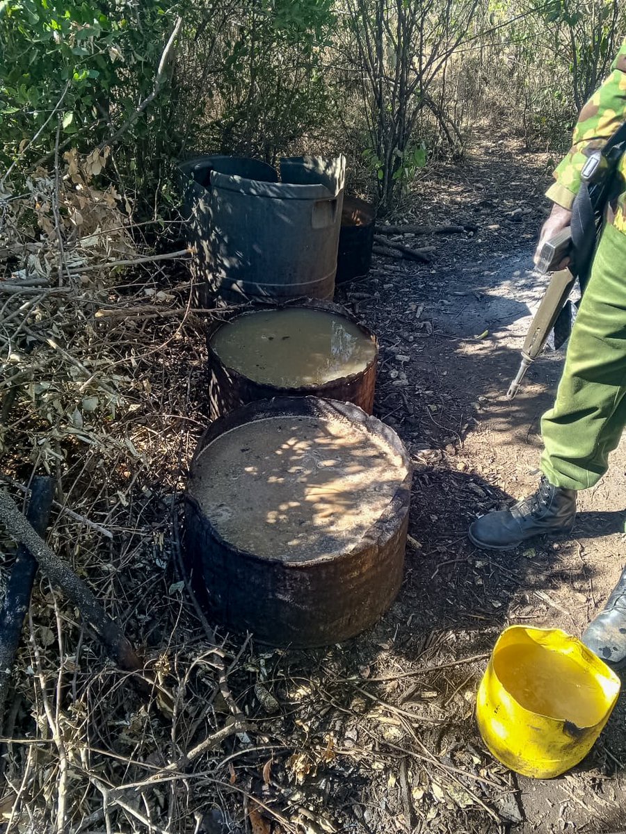 NPSOfficial_KE's tweet photo. 𝗠𝗨𝗟𝗧𝗜-𝗔𝗚𝗘𝗡𝗖𝗬 𝗖𝗥𝗔𝗖𝗞𝗗𝗢𝗪𝗡 𝗢𝗡 𝗜𝗟𝗟𝗜𝗖𝗜𝗧 𝗕𝗥𝗘𝗪𝗦 𝗖𝗢𝗡𝗧𝗜𝗡𝗨𝗘𝗦 𝗜𝗡 𝗟𝗔𝗜𝗞𝗜𝗣𝗜𝗔 𝗖𝗢𝗨𝗡𝗧𝗬

Efforts to curb the production, distribution and consumption of illicit alcoholic brews are continuing in Laikipia County, as a multi-agency operation targets illegal brewing activities and the networks sustaining the trade.

In the latest phase of the crackdown, the multi-agency team destroyed 2,700 litres of kangara and an assortment of distilling apparatus used in the manufacture of illicit brews.

The action forms part of sustained operations targeting illegal brewing establishments and the movement of illicit alcoholic products in the country.

The National Police Service continues to support these efforts and encourages members of the public to provide information that may assist in identifying such illegal operations.

Reports of any suspicious activities should be made at the nearest police station or through the emergency services: 999 or 911; or #FichuakwaDCI on 0800722203; or WhatsApp on 0709570000.