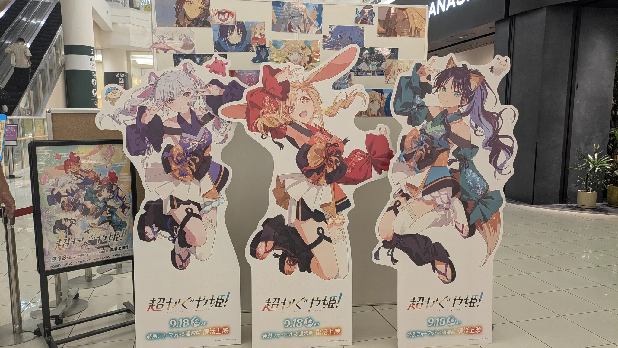 空飛ぶたぬき 様☆専用ページ 空飛ぶたぬき (@Fly_Tanuki) / X