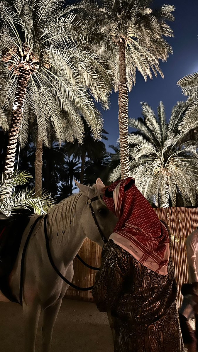 Rema89_9's tweet photo. 🌴🐎🌒#الرياض https://t.co/njbOIml3KE