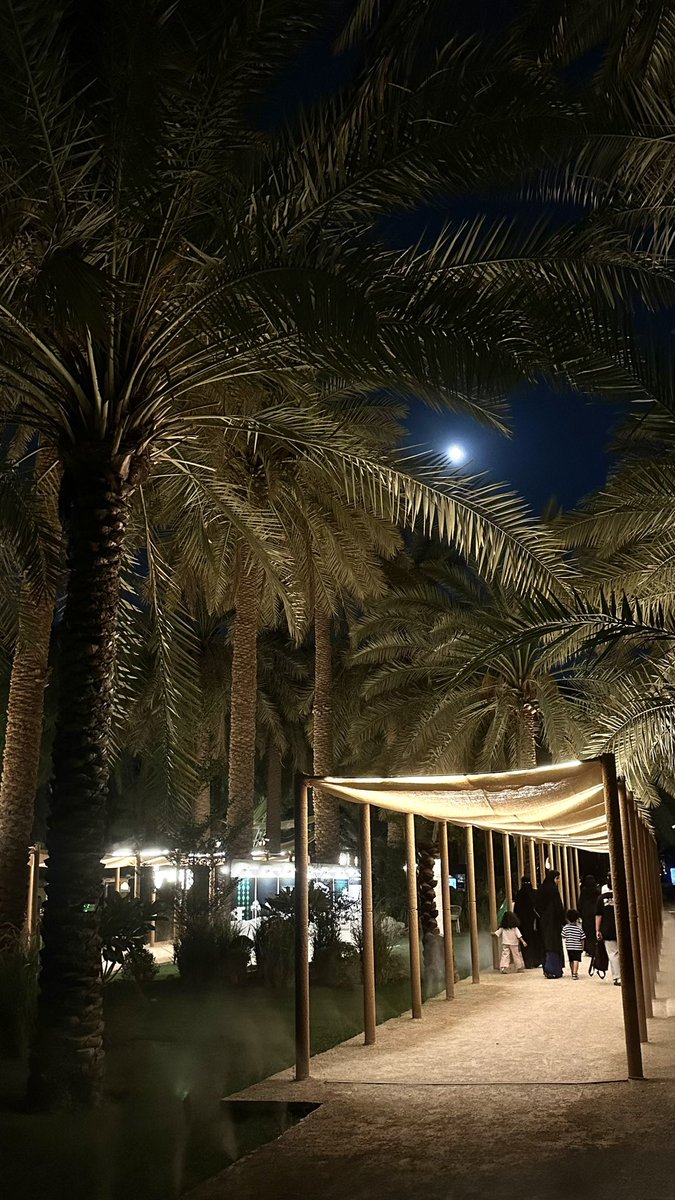 Rema89_9's tweet photo. 🌴🐎🌒#الرياض https://t.co/njbOIml3KE