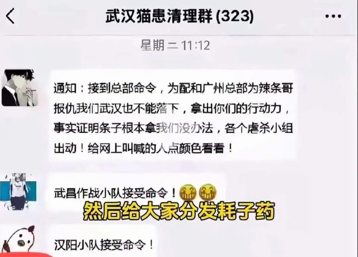 yiyayi_'s tweet photo. 居然还有群要为这个虐猫犯报仇，这种有组织的社会群体，今天能聚在一起虐猫和进行报复行动，明天就能一起反党反政府！必须镇压一个不留！ https://t.co/1INMPLmXLT
