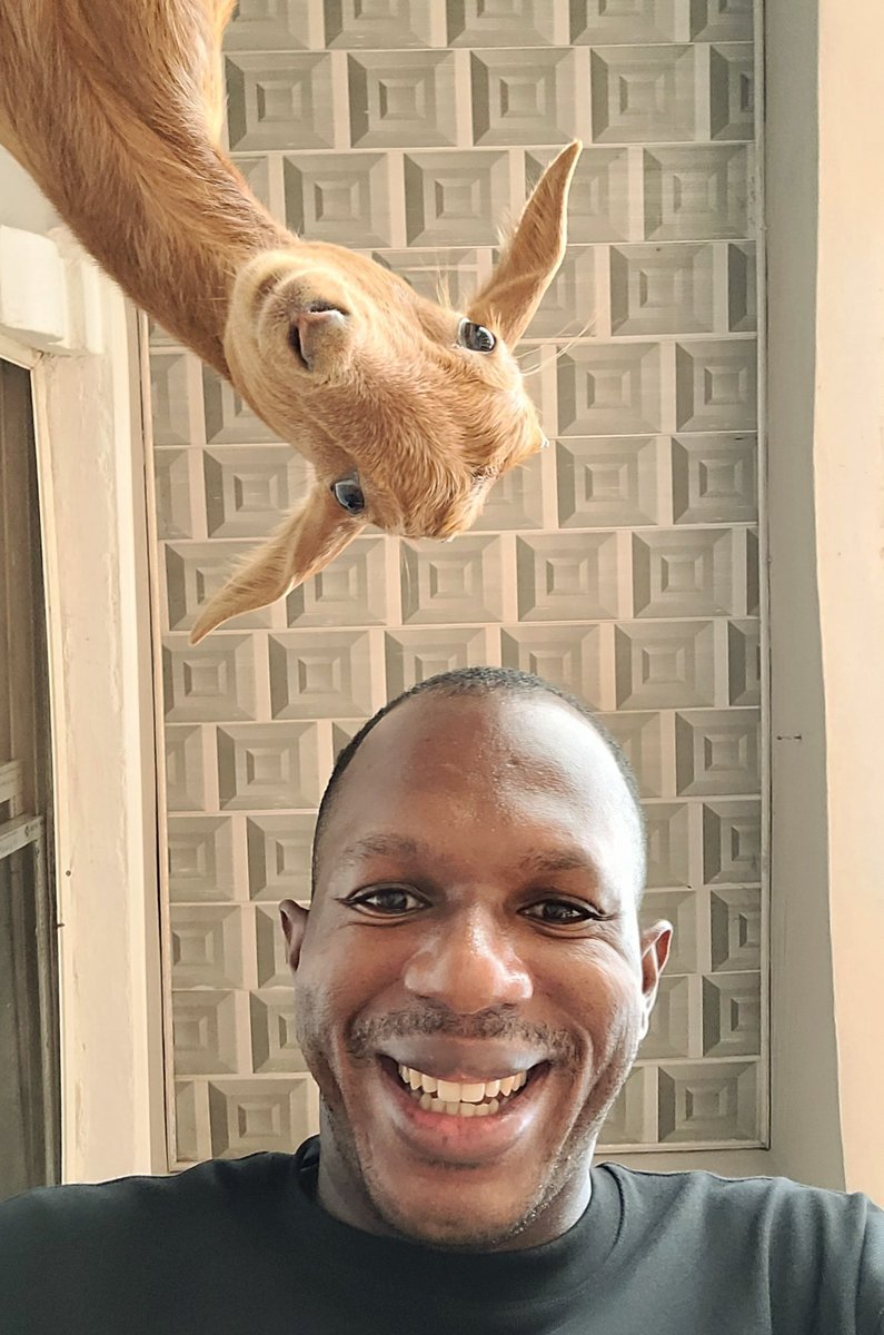 EMMANUE642's tweet photo. Same smile, different species https://t.co/orF3MYSgzG