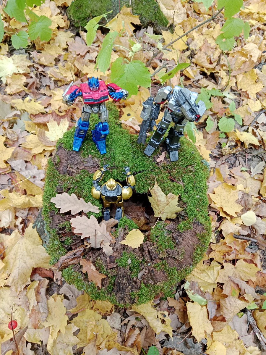 Bee_Stray127's tweet photo. Photo shoot in the forest ✨🍁

✧˚ʚɞ˚•° ⁠☆ °•˚ʚɞ˚✧

𝙏𝘼𝙂𝙎: #OptimusPrime #Megatron #Bumblebee #Трансформеры #Transformers #TransformersOne #TF #TFO #opbee #megabee https://t.co/4t27SrO0vD