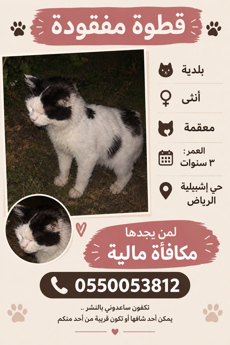 boody_family's tweet photo. #الرياض
#قط_مفقود
في حي إشبيليا https://t.co/NRHAD7P1Ru