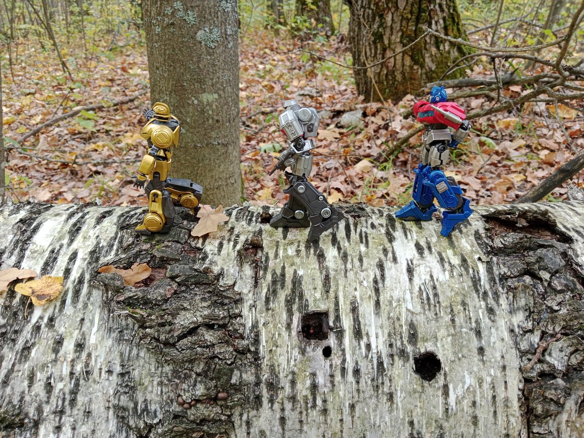 Bee_Stray127's tweet photo. Photo shoot in the forest ✨🍁

✧˚ʚɞ˚•° ⁠☆ °•˚ʚɞ˚✧

𝙏𝘼𝙂𝙎: #OptimusPrime #Megatron #Bumblebee #Трансформеры #Transformers #TransformersOne #TF #TFO #opbee #megabee https://t.co/4t27SrO0vD