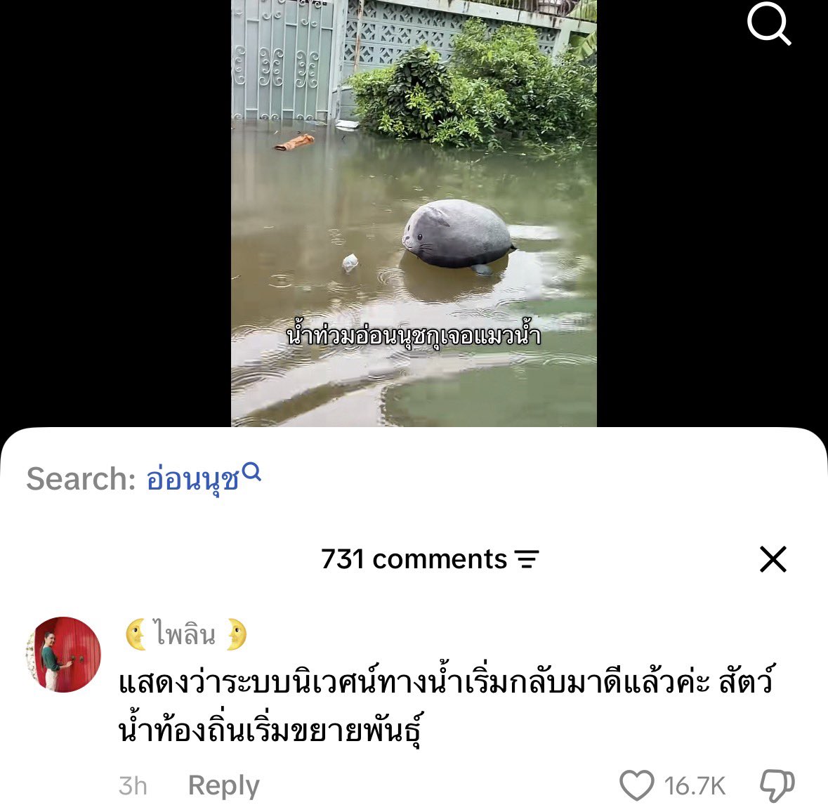 Thaireactionvid's tweet photo. 1 ในการประยุกต์ใช้การวิพากษ์เชิงสร้างสรรค์อย่างถูกต้องบนโลกโซเชียล https://t.co/5cOLQIKlNo