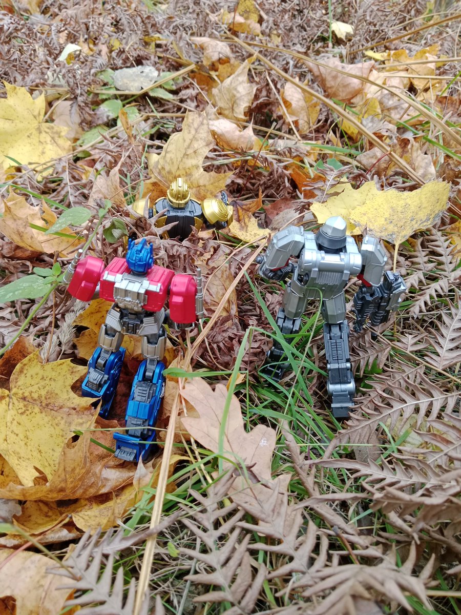 Bee_Stray127's tweet photo. Photo shoot in the forest ✨🍁

✧˚ʚɞ˚•° ⁠☆ °•˚ʚɞ˚✧

𝙏𝘼𝙂𝙎: #OptimusPrime #Megatron #Bumblebee #Трансформеры #Transformers #TransformersOne #TF #TFO #opbee #megabee https://t.co/4t27SrO0vD