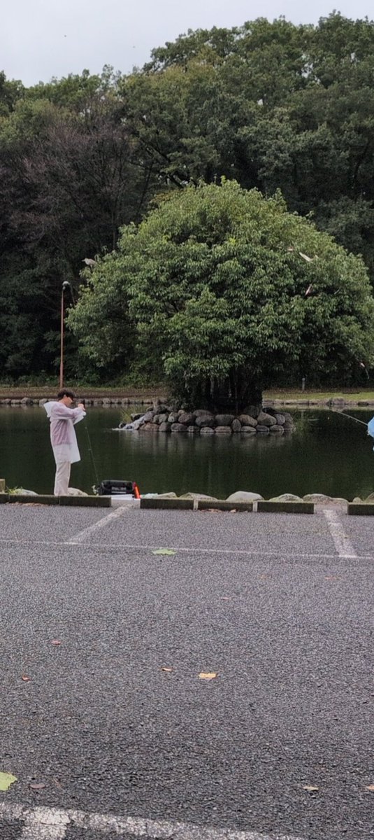 K8hRq's tweet photo. 王禅寺イチロー池　11時〜4時間　13匹🐟️
毎年の事ですが、今時期はスプーンよりもクランクが釣れます！
自分もクランク持っていた頃はトレノF(カフェコーク)やチャタクラDR(カフェコーク、ブルーベリーチョコ)、みどぴぃ〰️のＨＨＲGが凄い釣れたなぁ😀
昨日買ったスプーンもセカンドで大活躍✨️ https://t.co/snzJZdJCEd