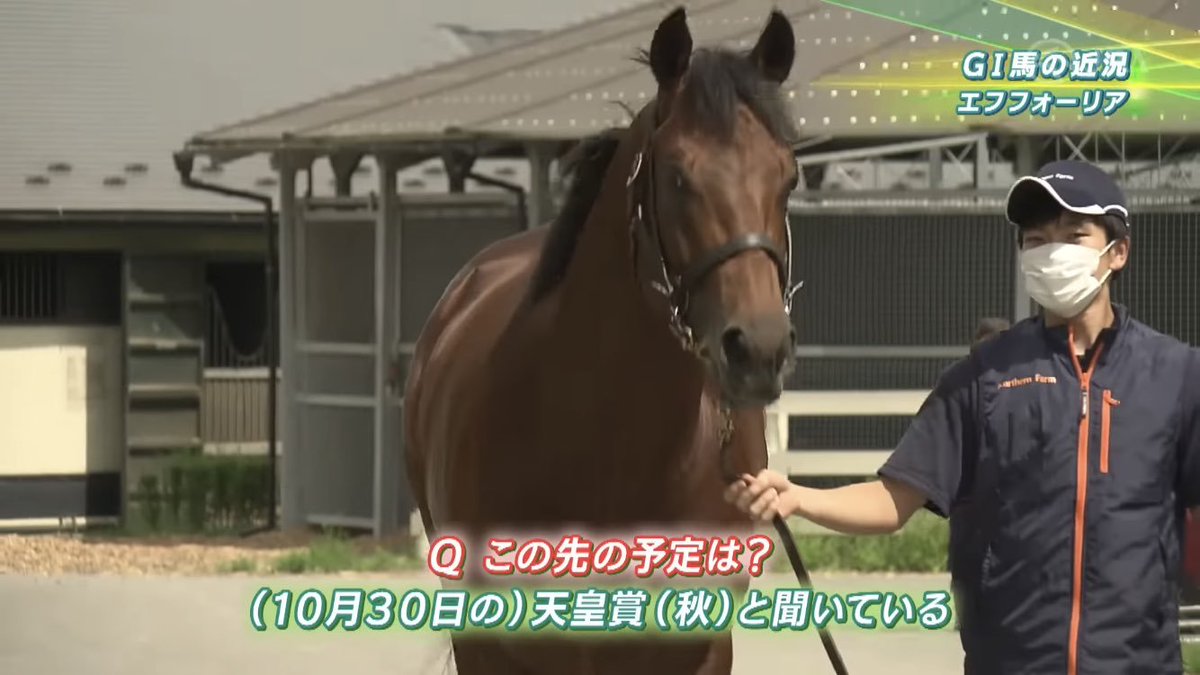 hrsdsk1125's tweet photo. 喋るお馬さんシリーズかわいくて好き( ˘ω˘) https://t.co/AwMO8dkVhG