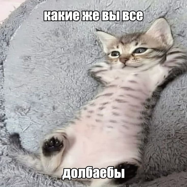Revochk's tweet photo. Настроение +- пойдет, благодаря Лауги, до этого было не очень хорошо 
Собираюсь идти в магаз(
Но тааааааааааак лень https://t.co/FPWf1LjP8V