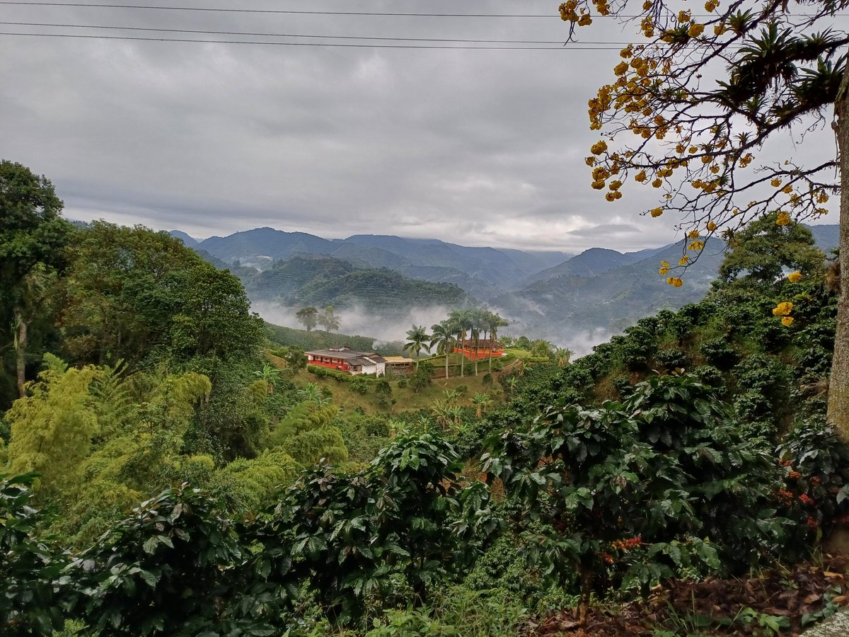 Linavelasqueze's tweet photo. #FelizSábado para disfrutar del paisaje entre los municipios de Andes y Jardín, Suroeste antioqueño. #SalvemosAlSuroeste #FueraAngloGold https://t.co/GEvEzb8mVT