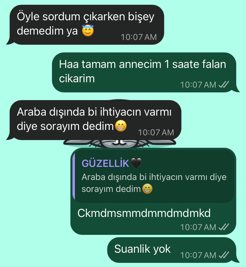ecesevval_'s tweet photo. Annem formunu kaybetmiyor https://t.co/QoDPB2oNbY
