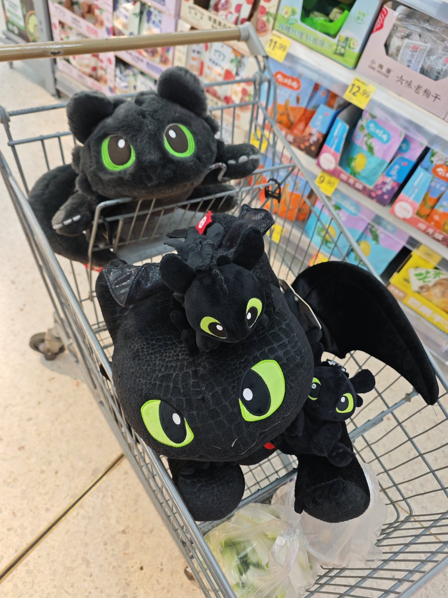 ZuJL4DOMur8dnIh's tweet photo. 孩子们这太可爱了
#httyd #toothless https://t.co/UswwCbamOx