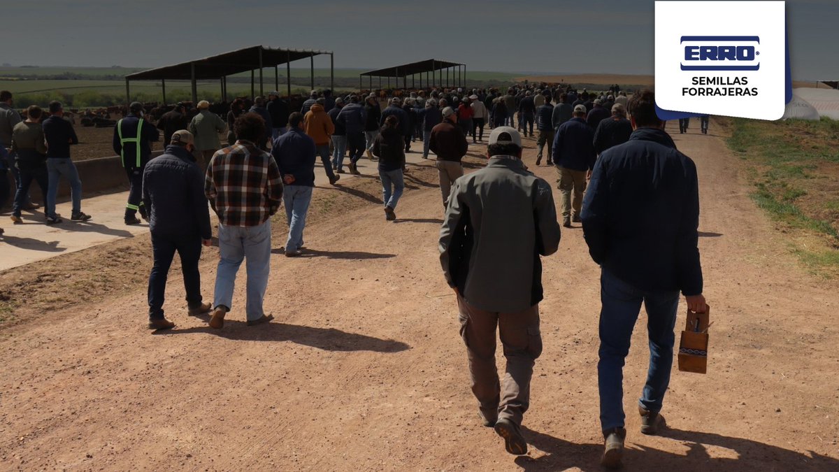 ErroForrajeras's tweet photo. Agradecemos especialmente a la flia. Viganó por recibirnos y poner a disposición las instalaciones del establecimiento. Asimismo, el apoyo de las empresas del grupo Villa Trigo, COMASA y de nuestro proveedor, Pasture Genetics. 
¡Gracias por contribuir al éxito de la jornada! 🌱🐄 https://t.co/9Fs09qKuuT