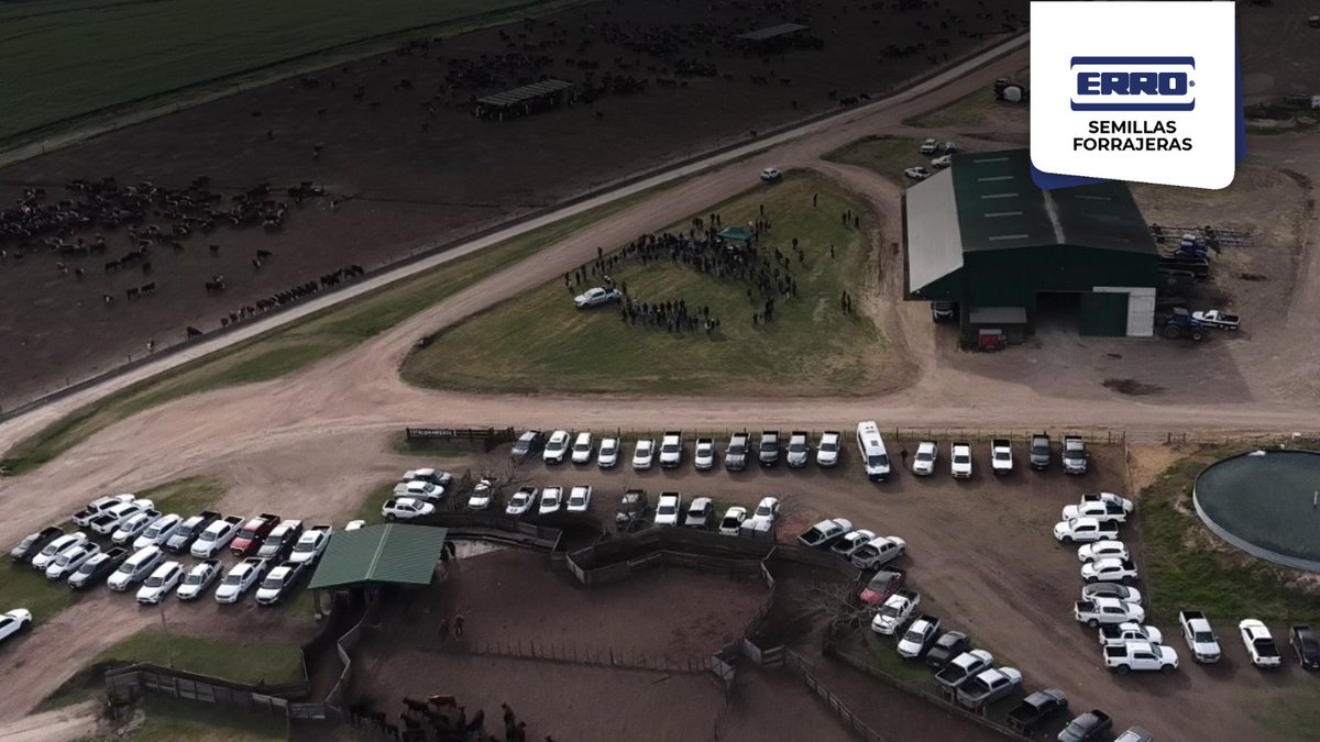 ErroForrajeras's tweet photo. Agradecemos especialmente a la flia. Viganó por recibirnos y poner a disposición las instalaciones del establecimiento. Asimismo, el apoyo de las empresas del grupo Villa Trigo, COMASA y de nuestro proveedor, Pasture Genetics. 
¡Gracias por contribuir al éxito de la jornada! 🌱🐄 https://t.co/9Fs09qKuuT