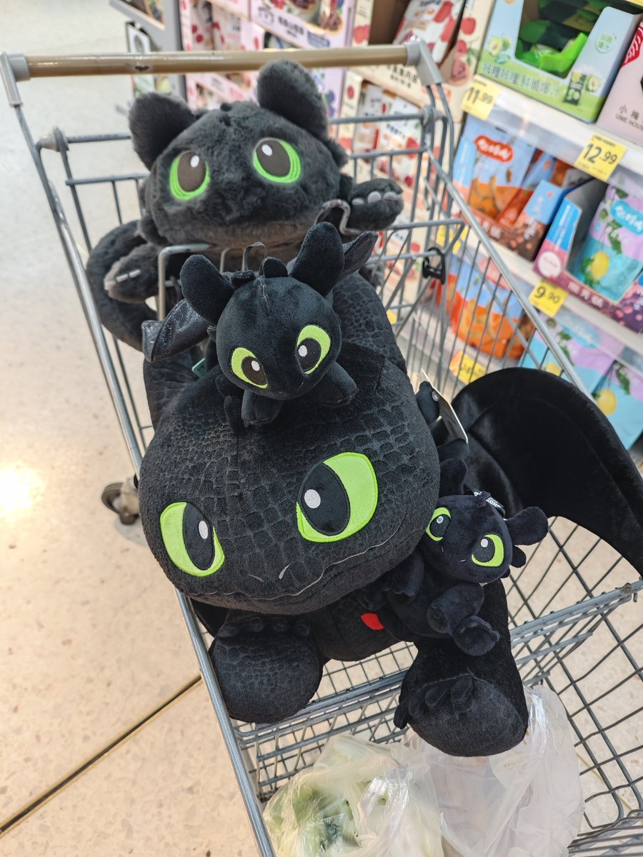 ZuJL4DOMur8dnIh's tweet photo. 孩子们这太可爱了
#httyd #toothless https://t.co/UswwCbamOx